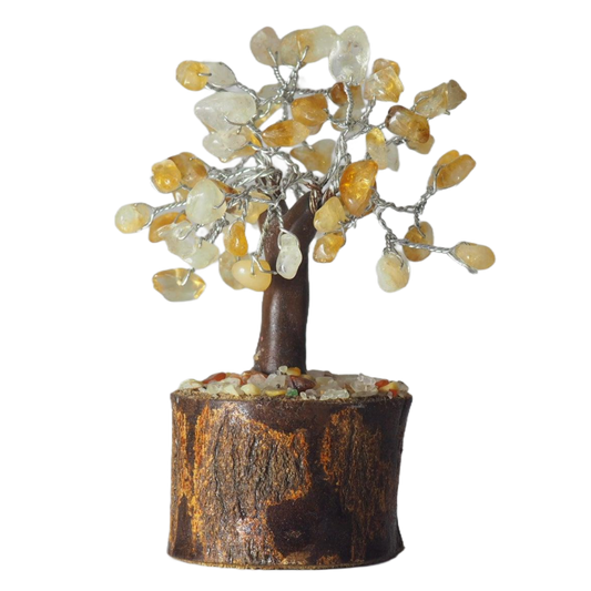 Bonsái Citrino Base Madera