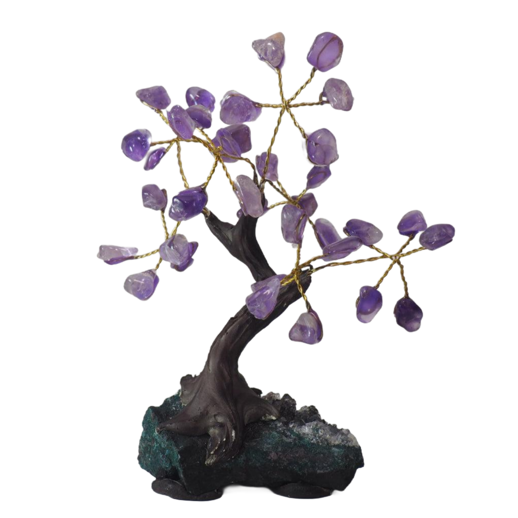 Bonsái Amatista Base Drusa Amatista