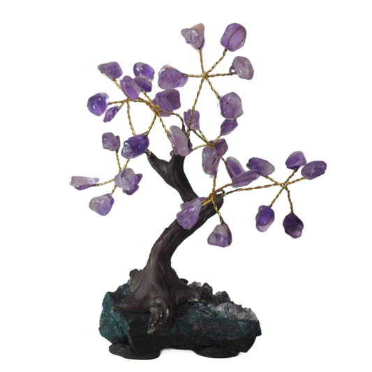 Bonsái Amatista Base Drusa Amatista