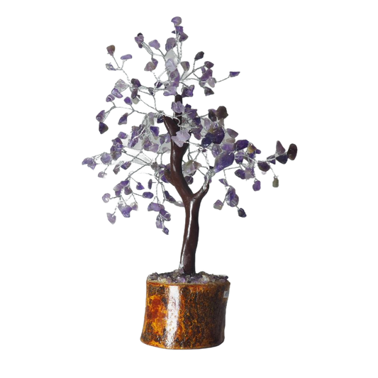 Bonsái Amatista Base Madera